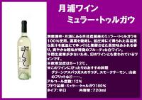 BOXフラワーアレンジメント+月浦ワイン ミュラー・トゥルガウ