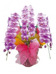 イメージ商品PP-02