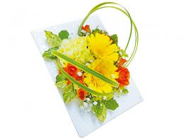 イメージ商品A3-09