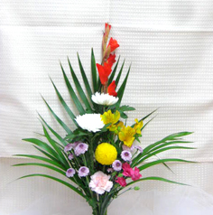 1.���ܥץ��+��2,160���ǹ���