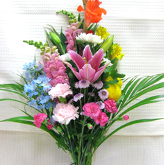 2.���ܥץ��+��3,240���ǹ���